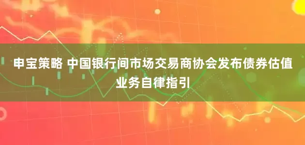 申宝策略 中国银行间市场交易商协会发布债券估值业务自律指引