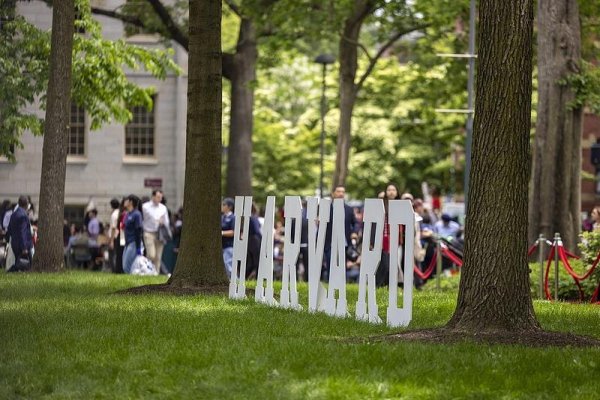 云配资 哈佛毕业典礼上的一幕：毕业生佩戴白花声援国际生，校长说“欢迎来自世界各地的学生”，掌声响彻全场